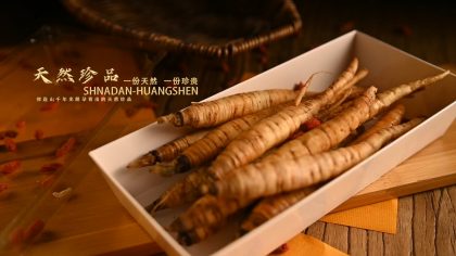 山(shān)丹土特產廣告視頻《黃參》